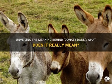 what does donk mean.